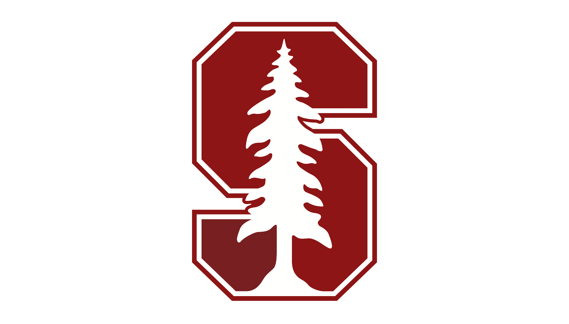 Scopri di più sull'articolo Stanford Swim Team respinge le accuse di omofobia