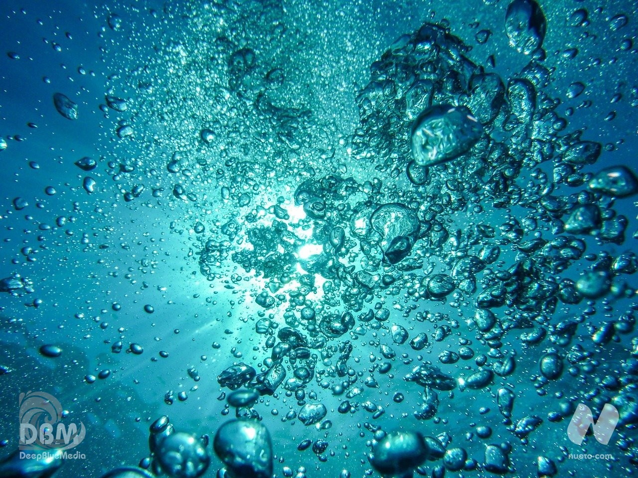 Scopri di più sull'articolo Giornata mondiale dell’acqua…fuori dall’acqua