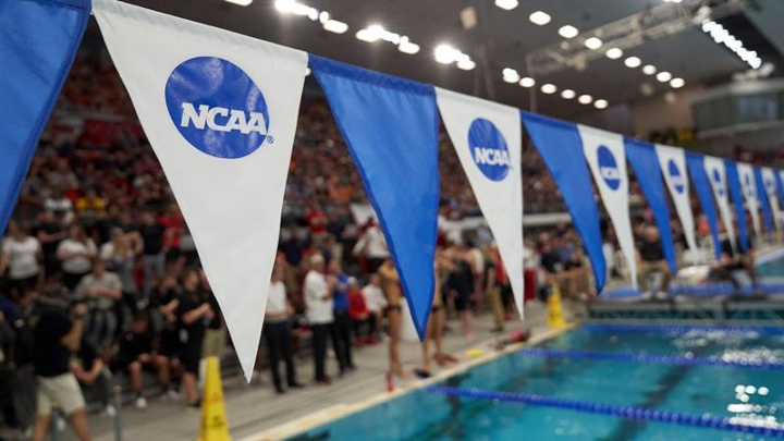 Nuotatrici transgender, NCAA adotta le regole di USA Swimming