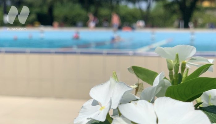 Lavoro in piscina, nuove opportunità con Nuoto•work
