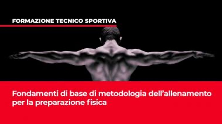 Scopri di più sull'articolo Fondamenti di base di metodologia dell’allenamento per la preparazione fisica